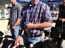 2019_ausstellung polling_557